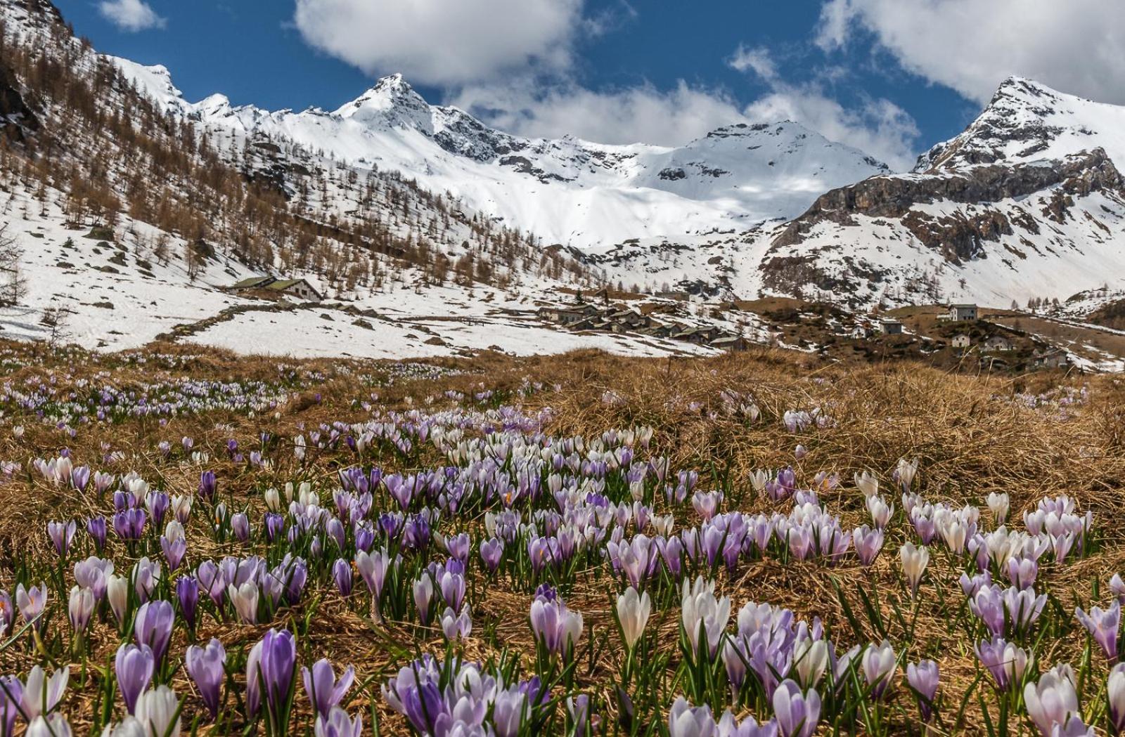 Apartamento San Giuan, Ad Un Passo Dal Centro Chiavenna Exterior foto